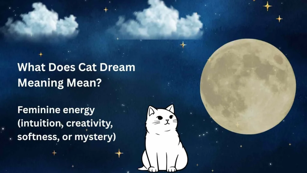 Cat Dream Meaning
