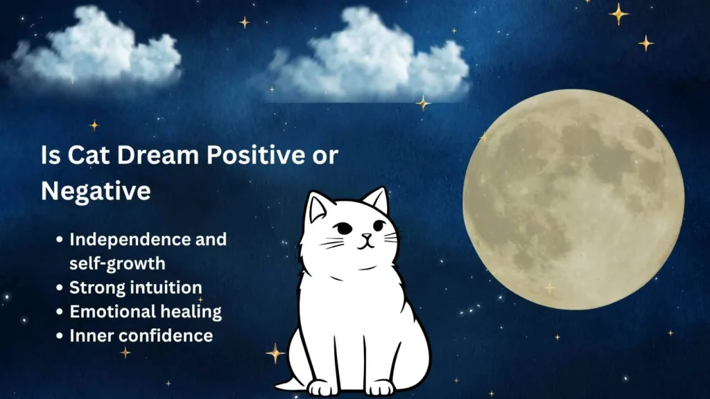 Is This Dream Positive or Negative