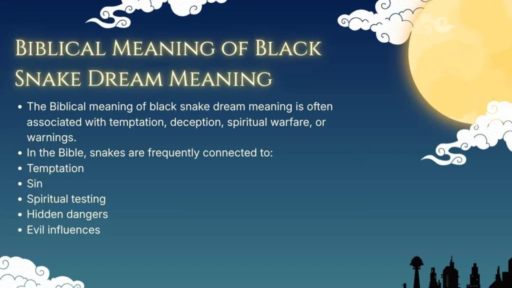 Biblical Meaning of Black Snake Dream Meaning