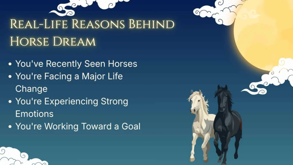 Real-Life Reasons Behind Horse Dream