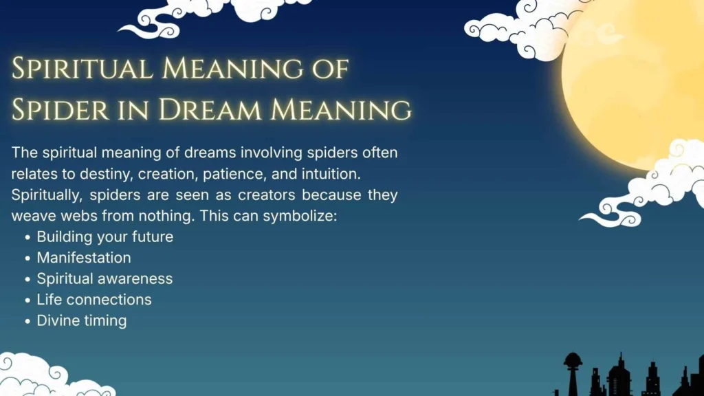Spiritual Meaning of Spider in Dream Meaning