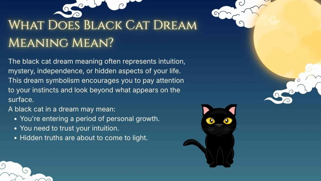 What Does Black Cat Dream Meaning Mean?