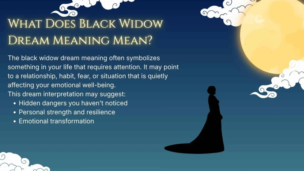 What Does Black Widow Dream Meaning Mean?