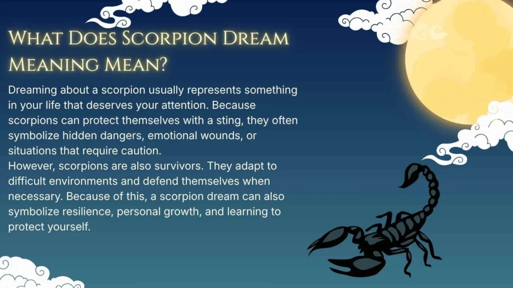 What Does Scorpion Dream Meaning Mean?