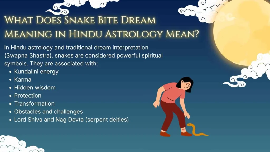 What Does Snake Bite Dream Meaning in Hindu Astrology Mean?