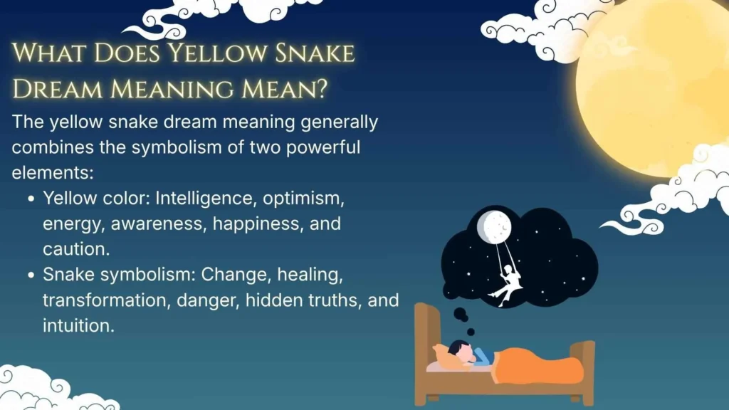 What Does Yellow Snake Dream Meaning Mean?
