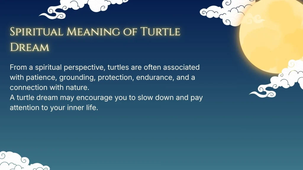Spiritual Meaning of Turtle Dream