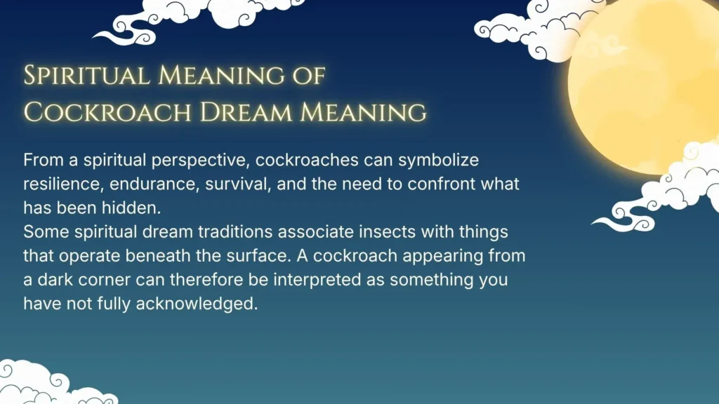 Spiritual Meaning of Cockroach Dream Meaning