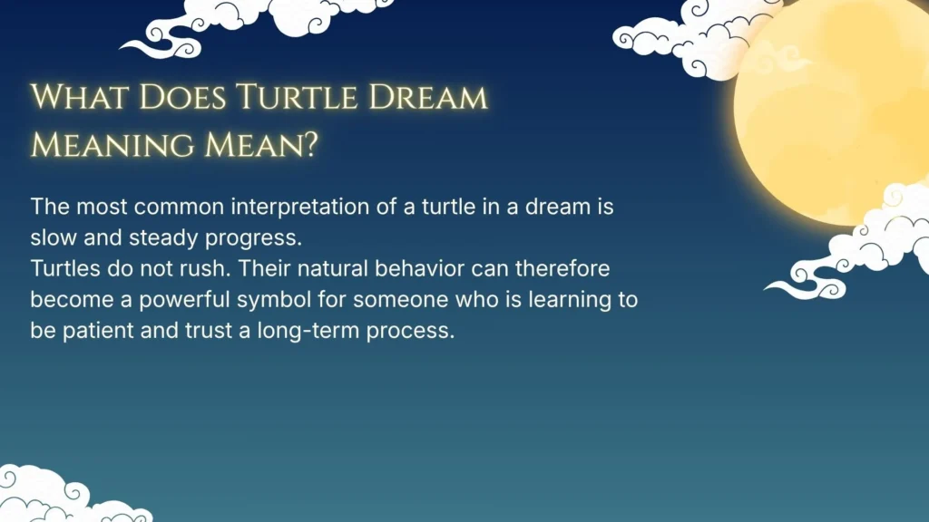 What Does Turtle Dream Meaning Mean?