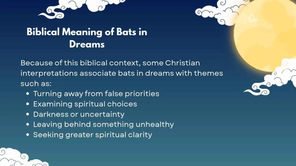 Bats in Dreams