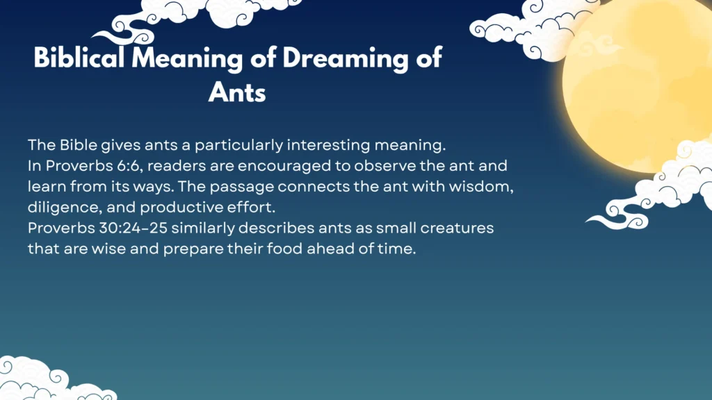 Biblical Meaning of Dreaming of Ants