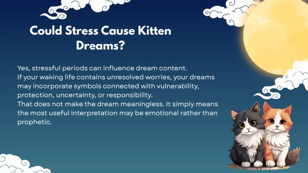 Could Stress Cause Kitten Dreams?
