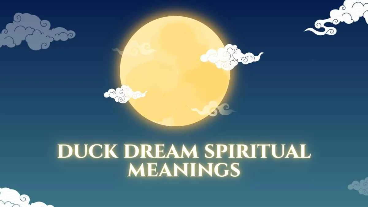 Duck Dream Spiritual Meanings: What Your Dream May Symbolize