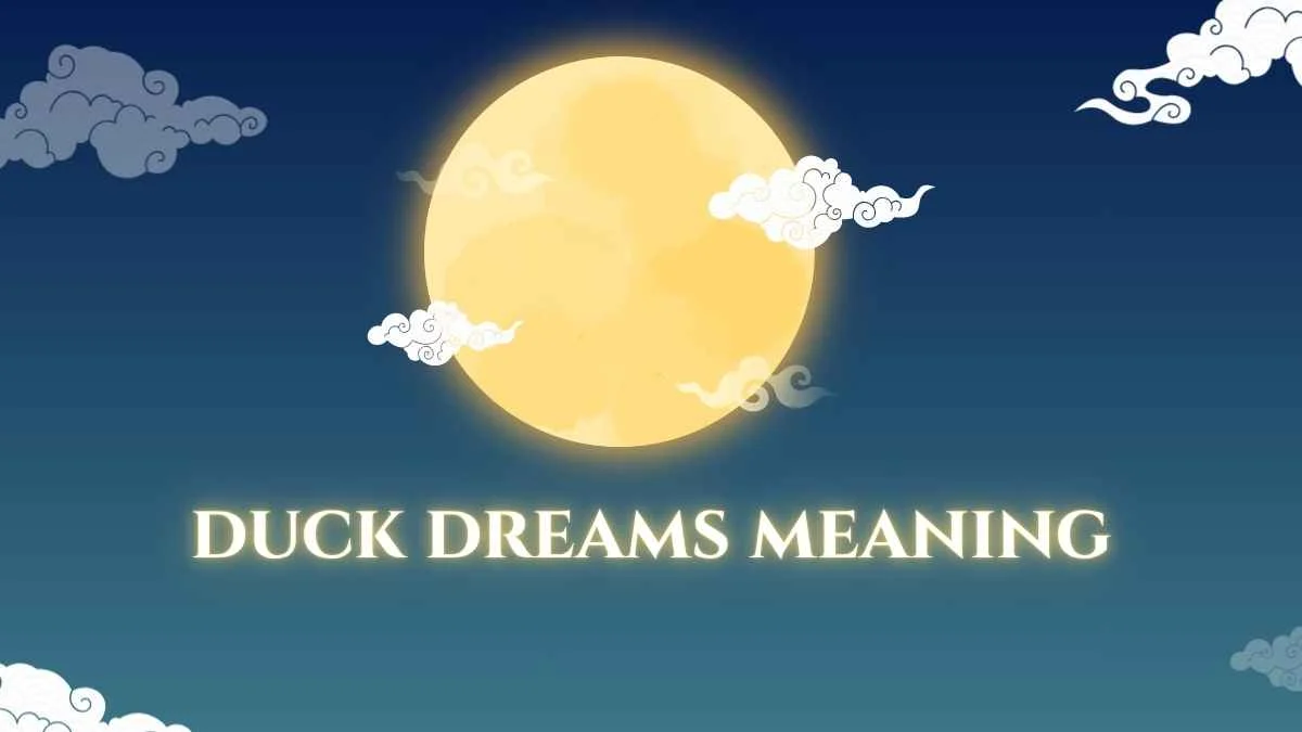 Duck Dreams Meaning: What Does It Mean to Dream About Ducks?