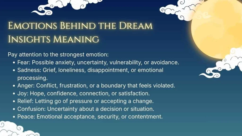 Emotions Behind the Dream