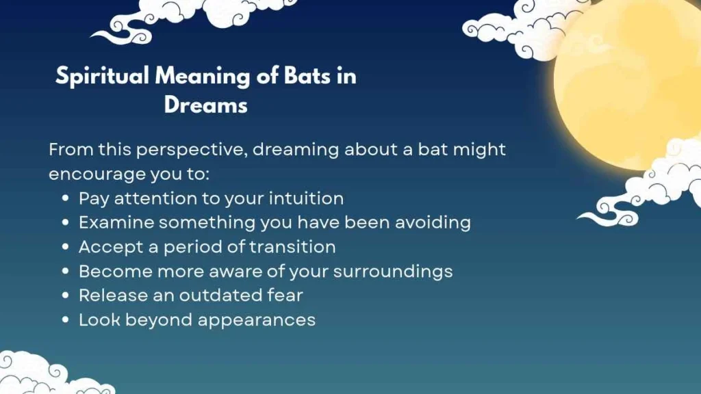 Bats in Dreams
