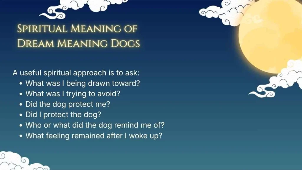 Spiritual Meaning of Dream Meaning Dogs