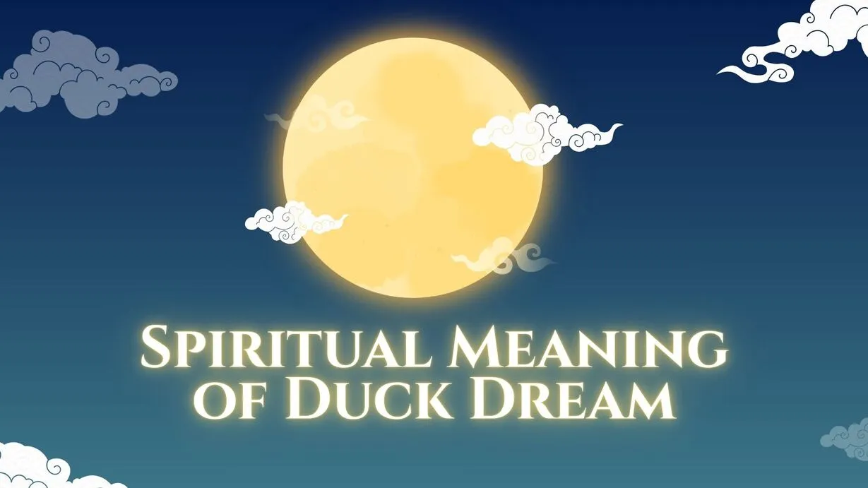 Spiritual Meaning of Duck Dream| Symbolism, Biblical Meaning & Psychology