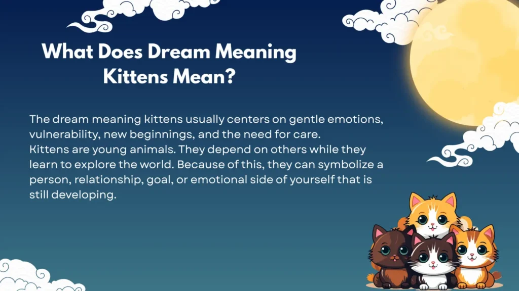 What Does Dream Meaning Kittens Mean?