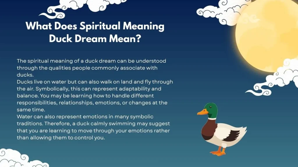 What Does Spiritual Meaning Duck Dream Mean?