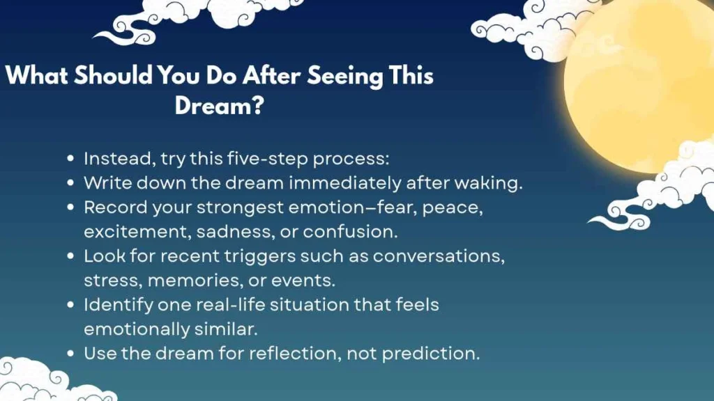 Spiritual Meaning of Duck Dream Spiritual Meanings
